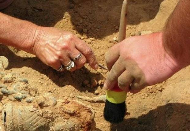 Археологи обнаружили вино, которому 3 тысячи лет