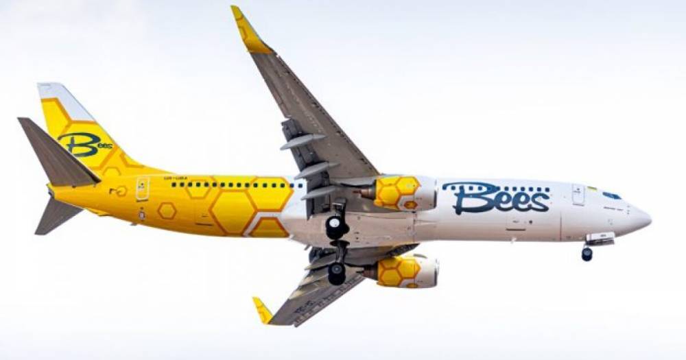 Украинский лоукост Bees Airline получил права на полеты по 29 маршрутам