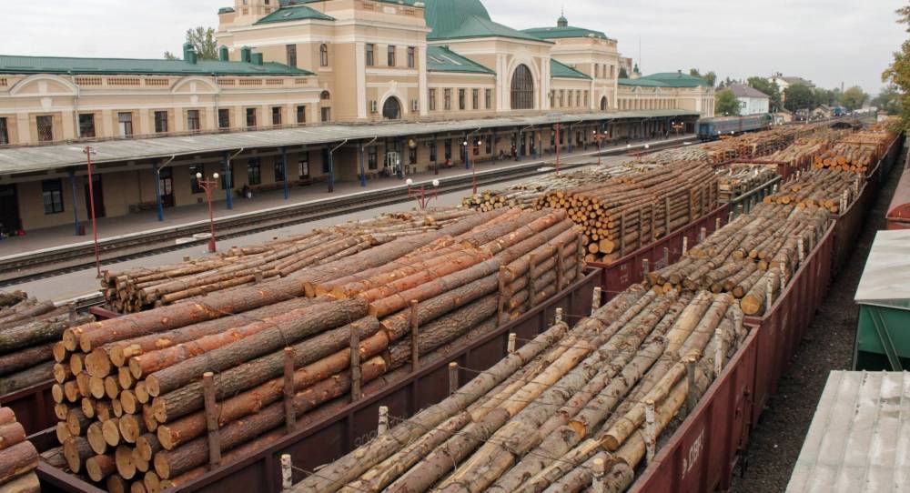 Эксперт: разрешение на экспорт леса закончится для Украины катастрофой