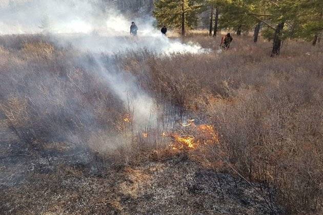 Первый лесной пожар в 2021 году произошёл в Забайкалье