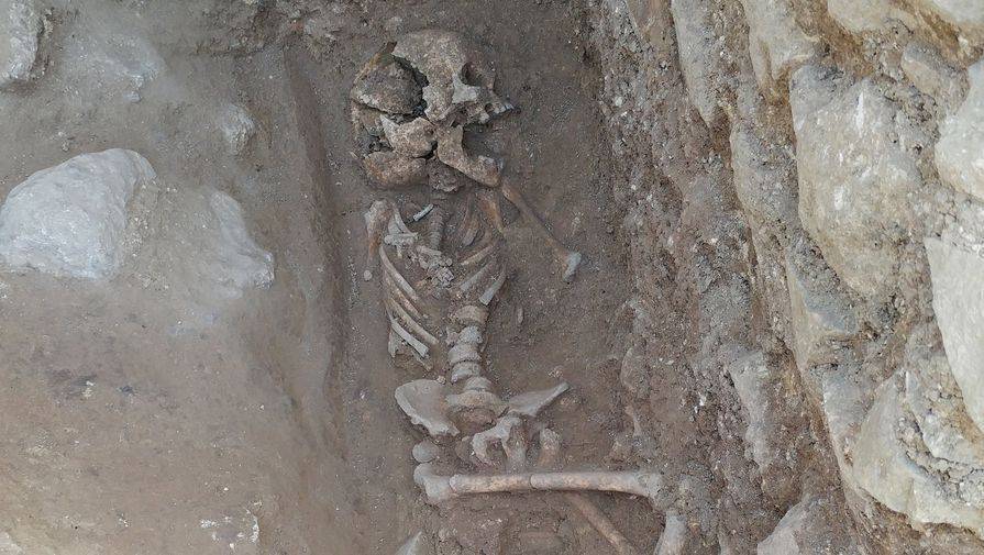 В петербургском парке нашли скелет ребенка без одежды