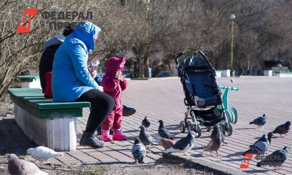 Части российских семей продлили возраст для выплат при рождении детей