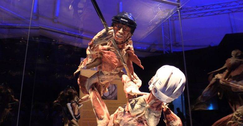 "Открывает портал мертвецов": экстрасенс объяснила, чем опасно посещение выставки с засушенными телами Body Worlds