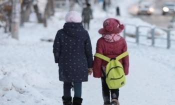 Двух девочек железобетонная кондуктор высадила в Вологде из автобуса на мороз
