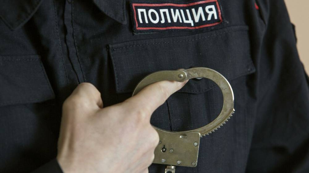 Насмерть сбивший двух женщин в Москве водитель арестован