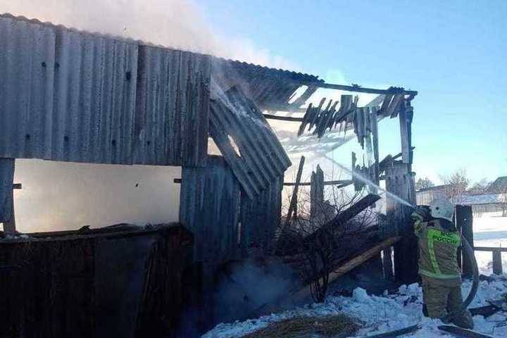Домашний скот сгорел на пожаре в Ибресинском районе