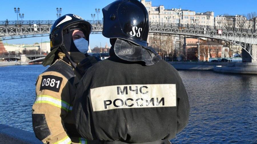 Спасатели вытащили из ледяной воды женщину и ее собаку на Москве-реке