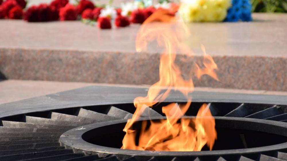 В Белой Церкви мать с детьми устроила пикник на вечном огне: жарили зефир – видео