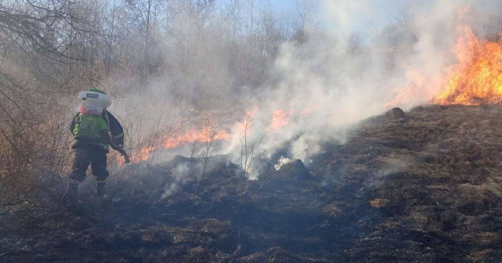 На Закарпатье мужчина поджег лес: горело около гектара территории