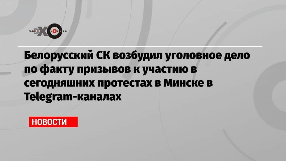 Белорусский СК возбудил уголовное дело по факту призывов к участию в сегодняшних протестах в Минске в Telegram-каналах