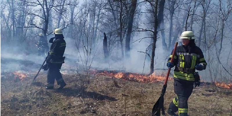 В Днепровском районе Киева неизвестные подожгли траву и камыш - ТЕЛЕГРАФ