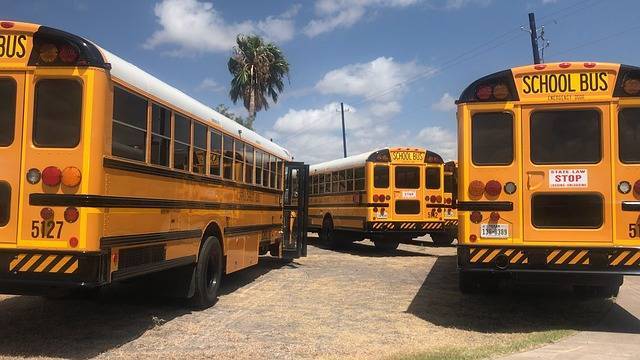 В Бразилии тела умерших от ковида предложили перевозить в школьных автобусах