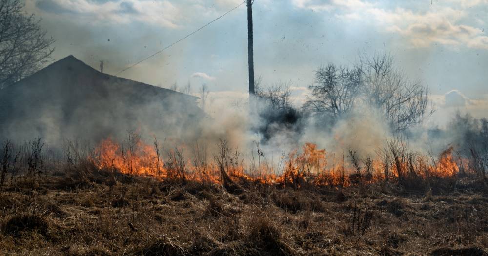 Горит трава у дома: как пожарные-добровольцы из Питера и Москвы патрулировали Калининградскую область