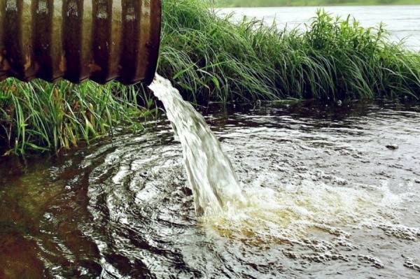 Прокуратура проверит информацию о сбросе сточных вод в городской пруд Ревды