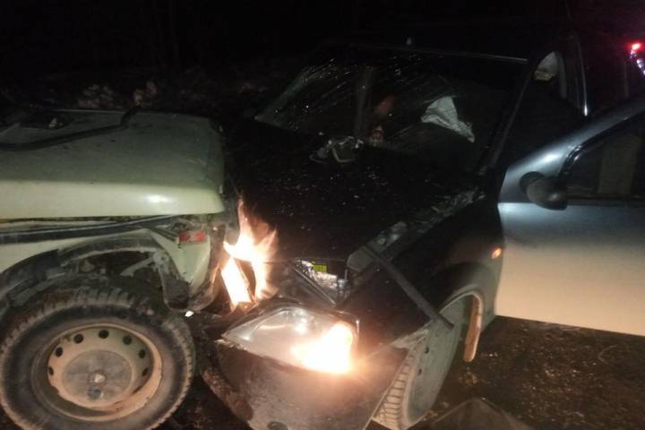 По вине нетрезвого водителя в Пинежском районе произошла авария