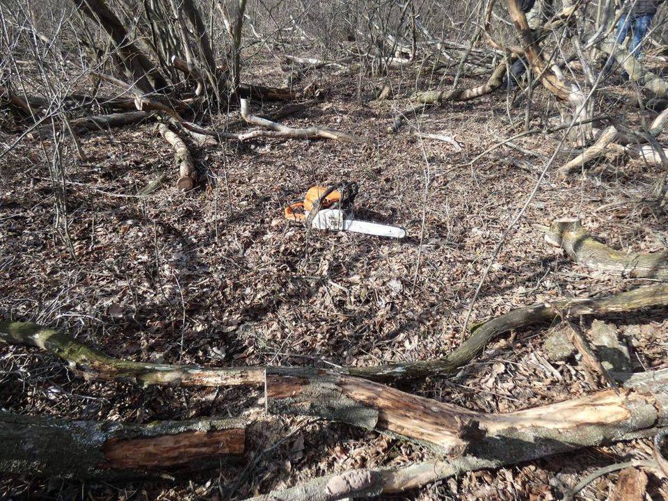 В Северодонецком районе полиция обнаружила нелегальных лесорубов