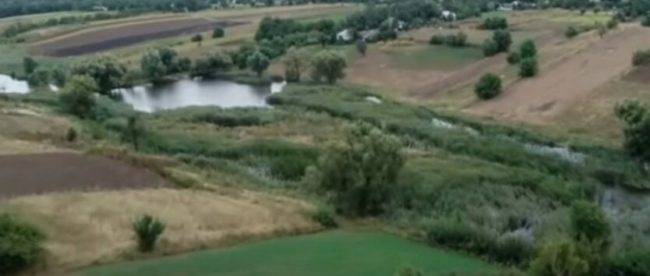 Украинцам назвали цену гектара после открытия рынка земли