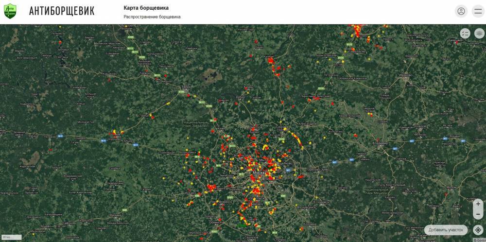 В России составляют карту распространения борщевика
