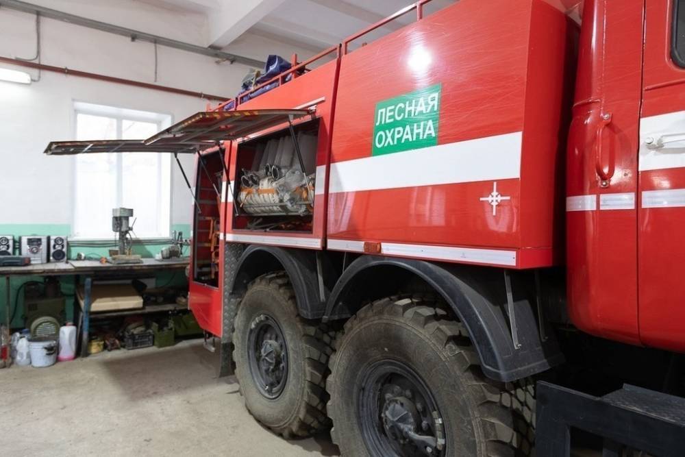 Псковская область стала первым регионом СЗФО, готовым к сезону пожаров на 100%