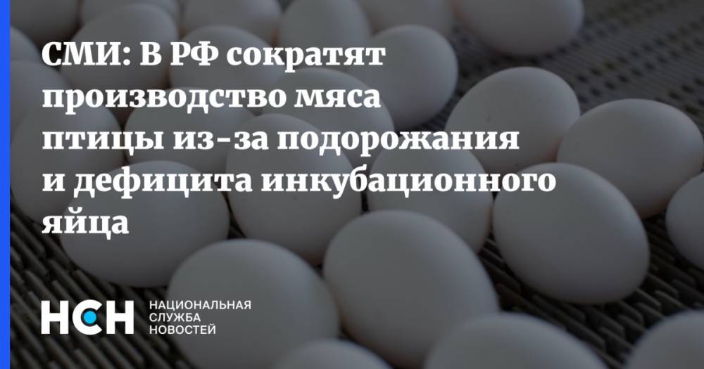 СМИ: В РФ сократят производство мяса птицы из-за подорожания и дефицита инкубационного яйца