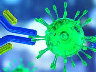 Организм людей с ослабленной иммунной системой может не освободиться от COVID