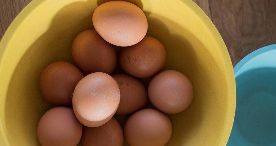 Дефицит яиц может привести к сокращению выпуска мяса птицы в РФ – СМИ