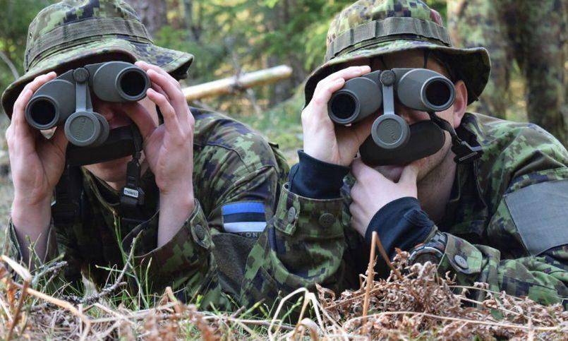 Эстония запланировала на весну крупные международные военные учения