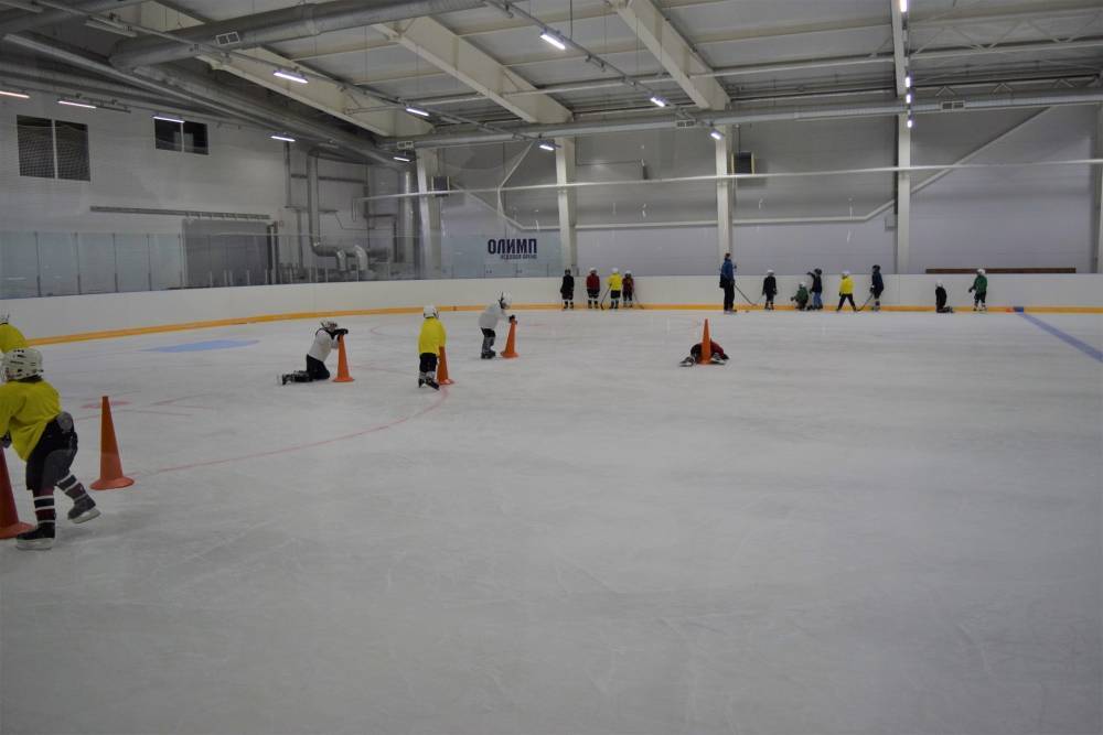Новую ледовую арену планируют построить в Новосаратовке