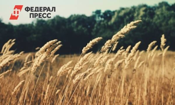 Краснодарский край получит деньги на агрострахование