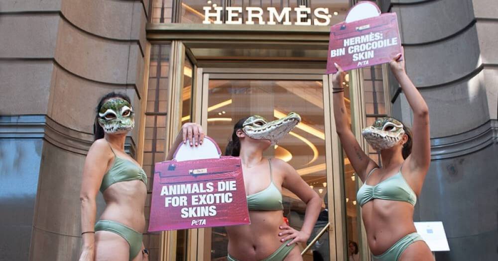 У магазинов Hermes начались протесты против использования шкур крокодилов для сумочек