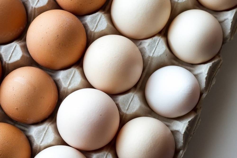 Названы возможные сроки снижения цен на курятину и яйца