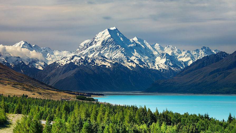 Население острова в Новой Зеландии эвакуируют из-за угрозы цунами
