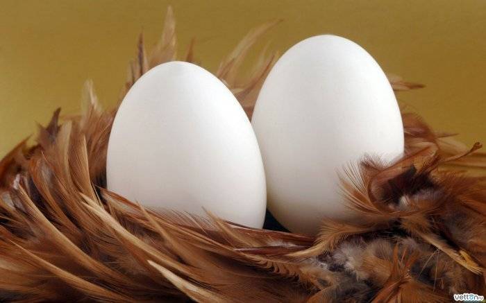 Российские птицеводы пожаловались на нехватку яиц