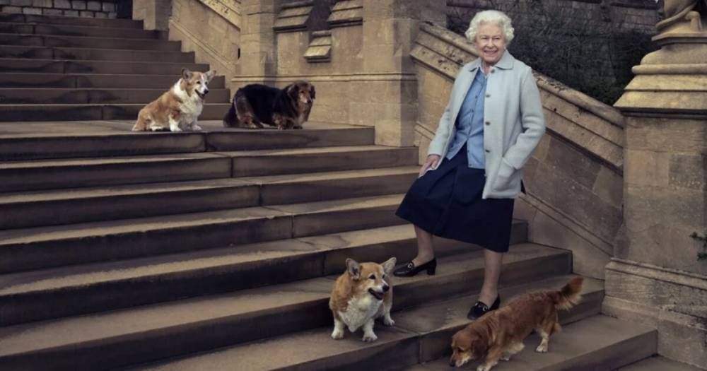 Королеве Елизавете подарили двух щенков корги, чтоб отвлечь от скандала с принцем Гарри и Меган Маркл