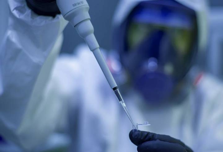 Ученые предупредили Мишустина о риске "второго Уханя" из-за нового типа птичьего гриппа