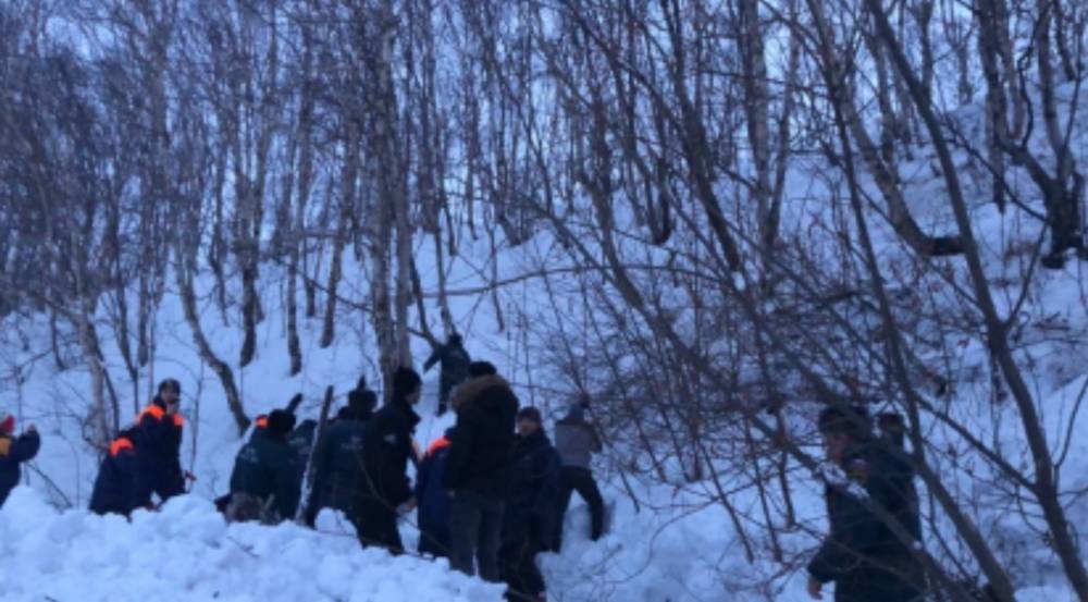 На Камчатке у школы снежная лавина накрыла людей: есть погибший