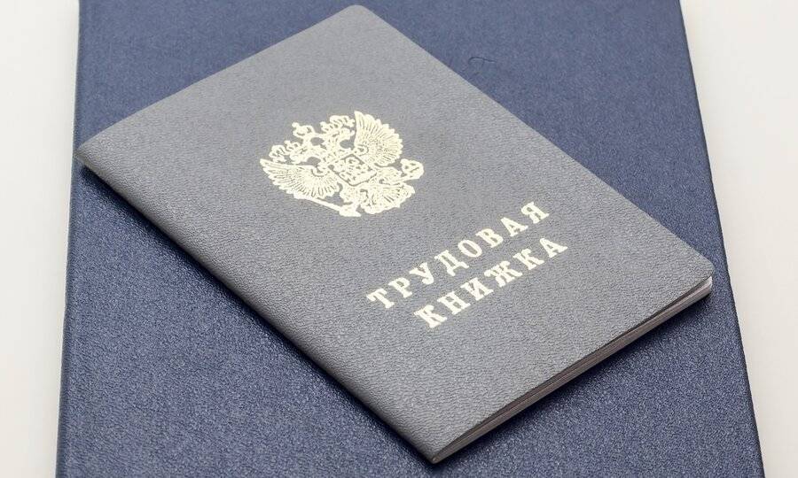 Россиянам объяснили новые правила заполнения электронных трудовых книжек