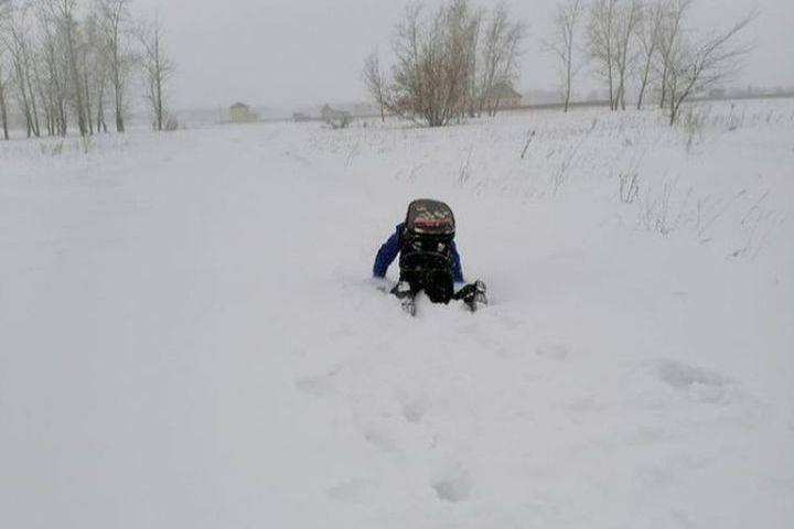 СКР анонсировал проверку случая под Омском с детьми, ползущими в школу по снегу