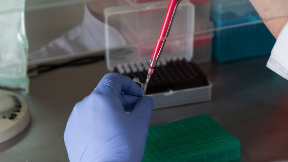 Ученые из Перми рассказали, как сделать тест на коронавирус дома
