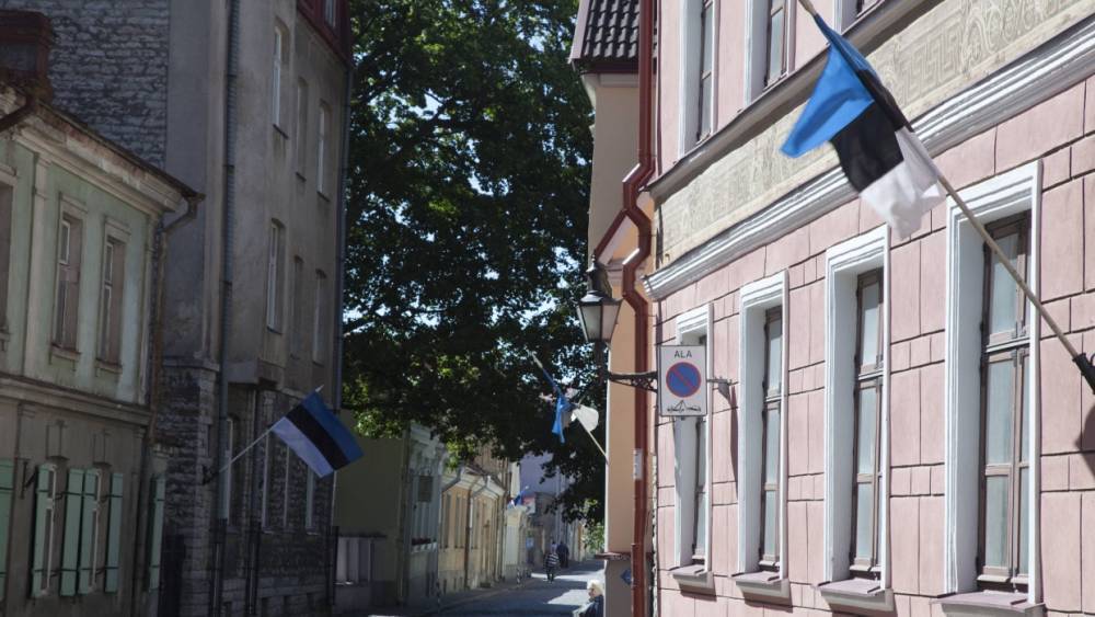 Минобороны Эстонии планирует приобрести боеприпасы на 135 миллионов евро