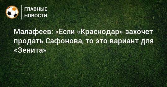 Малафеев: «Если «Краснодар» захочет продать Сафонова, то это вариант для «Зенита»