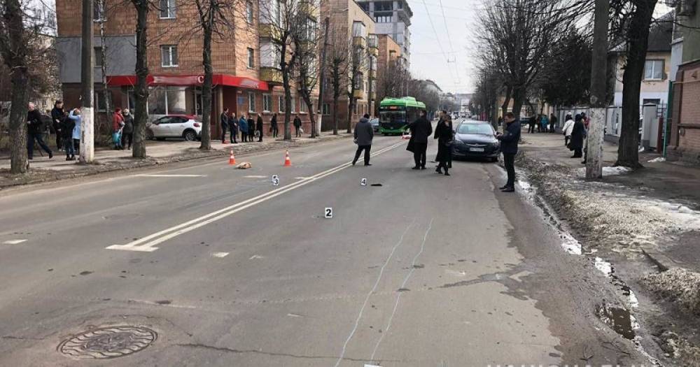 В Житомире полиция нашла водителя, который насмерть сбил женщину и ее собак на пешеходном переходе