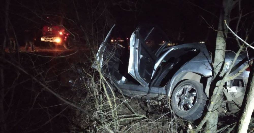 Водитель погиб на месте: в Одесской области произошло смертельное ДТП (фото, видео)
