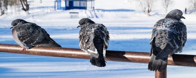 В Кировской области выпустили метеопредупреждение из-за мороза