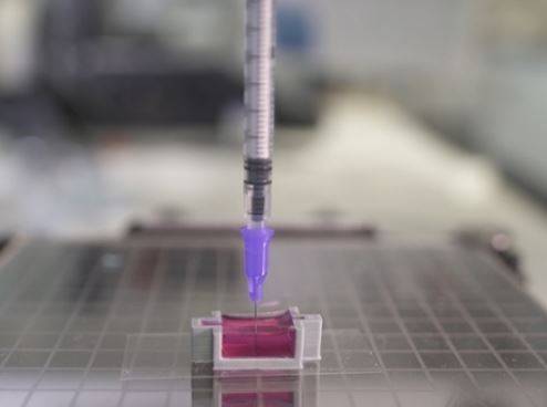 Австралийские биоинженеры научились «печатать» живые кости