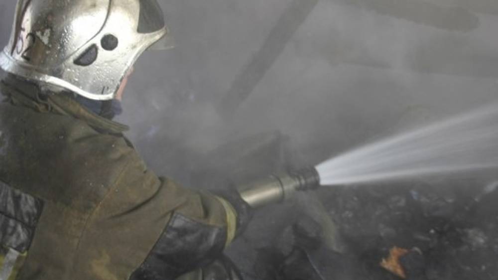 Женщина с семилетним сыном погибли при пожаре в Ярославской области