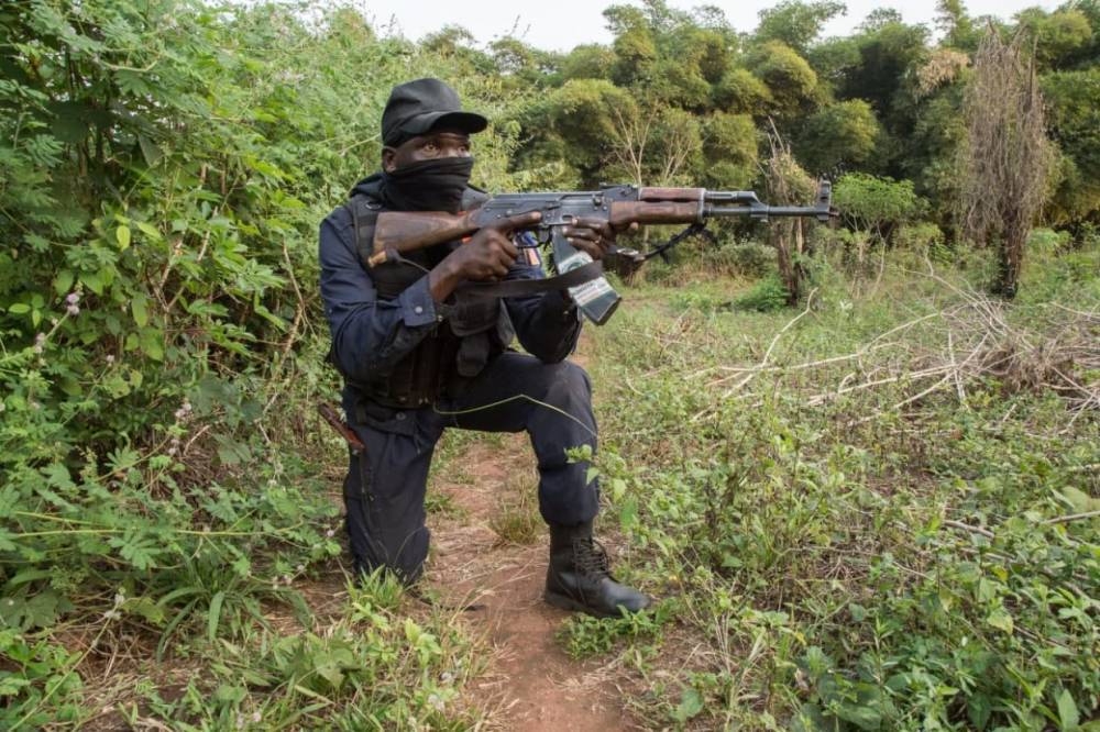 Армия ЦАР отбросила боевиков к границе с Чадом