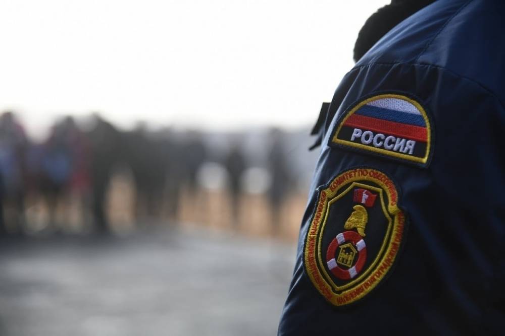 Полиции в Волжском задержали курьера телефонных мошенников