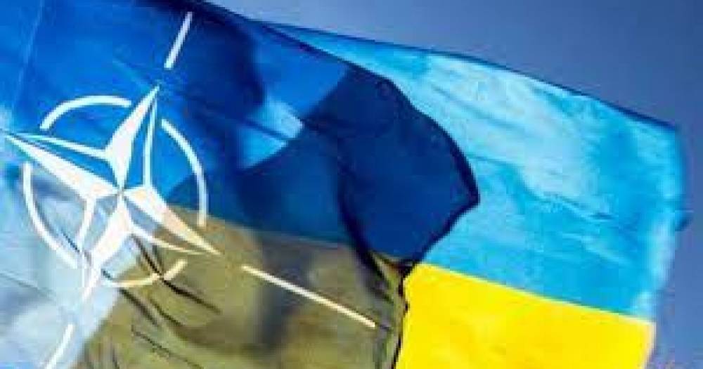 Украина рассчитывает получить ПДЧ в НАТО в этом году, — Таран