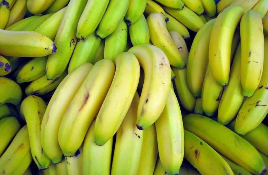 Медики рассказали о пользе ежедневного употребления бананов для здоровья